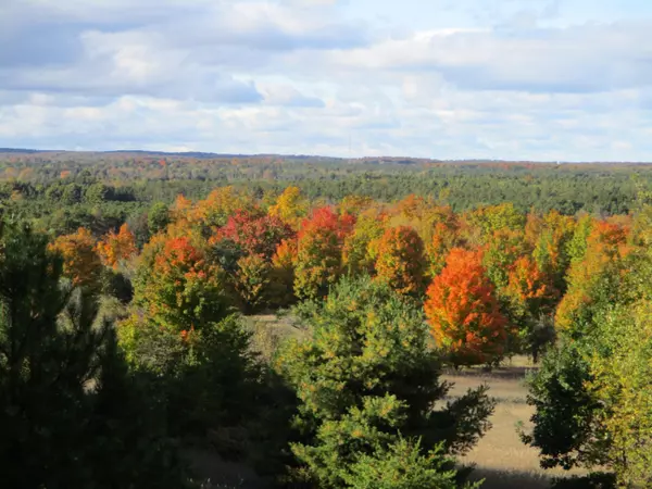 Bear Lake, MI 49614,Potter Road