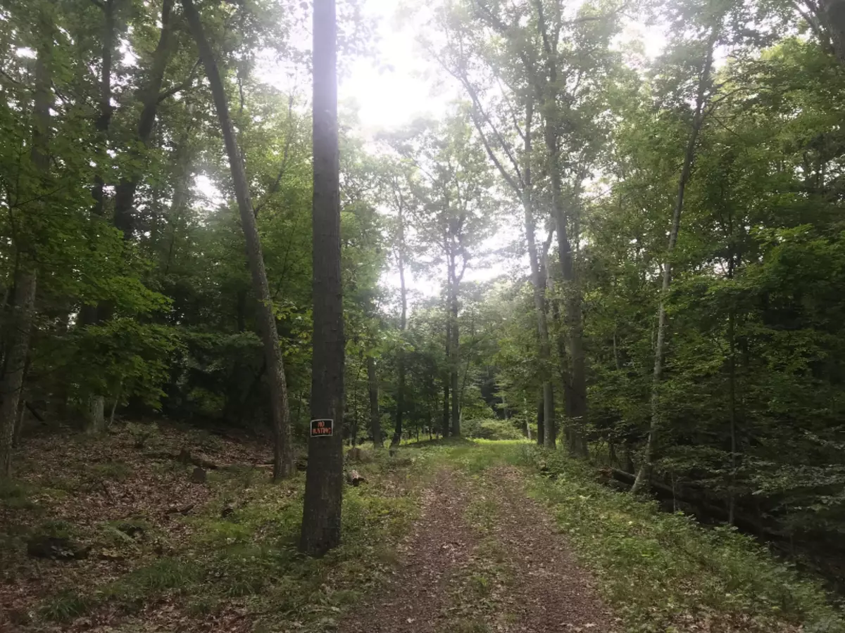 Shelby, MI 49455,S Lakeview Dr #B