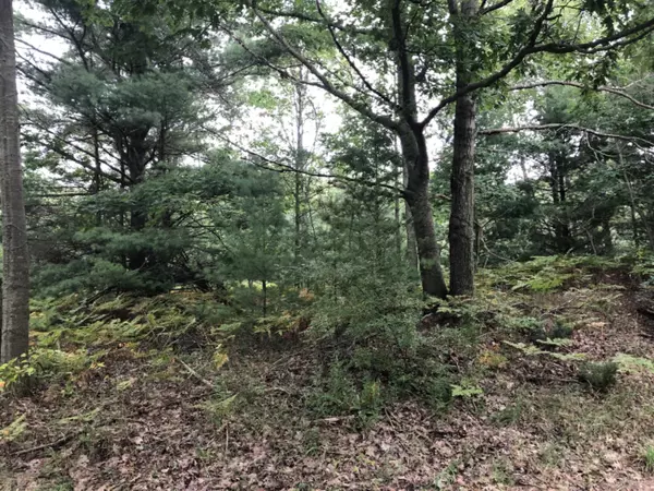 Lot 3 Harrison Road, Mears, MI 49436