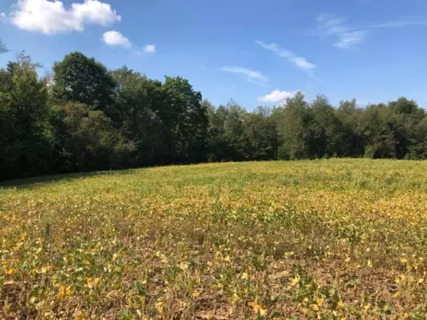 9531 Church Road, Pittsford, MI 49271