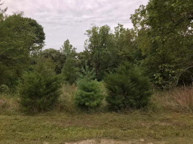 74479 Orchard Pl, Covert, MI 49043