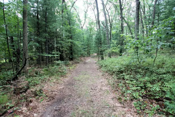 White Cloud, MI 49349,Centerline