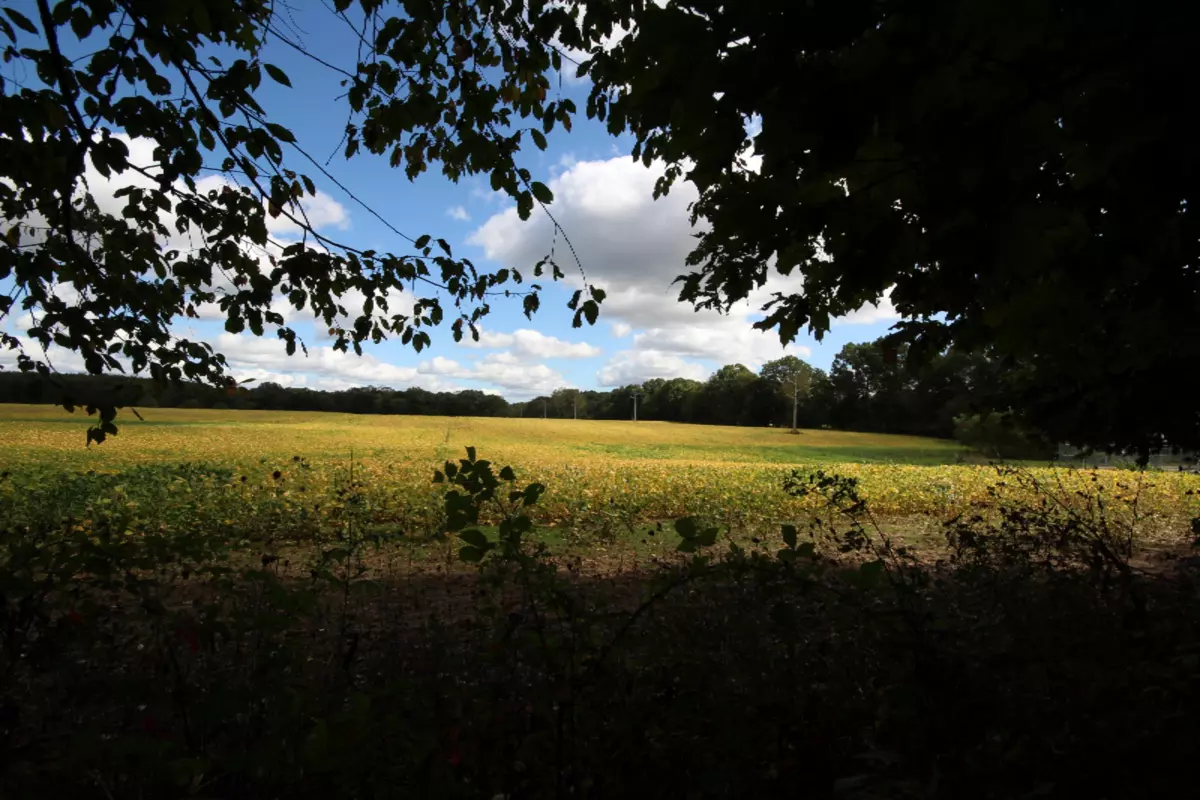 Scotts, MI 49088,1 S 29th Street