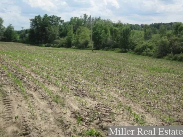 V/L Butler Rd, Dowling, MI 49050