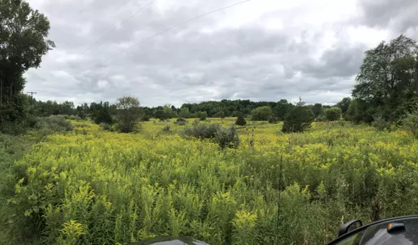 Pittsford, MI 49271,0 Gilbert Road