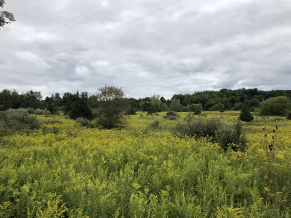 Pittsford, MI 49271,0 Gilbert Road