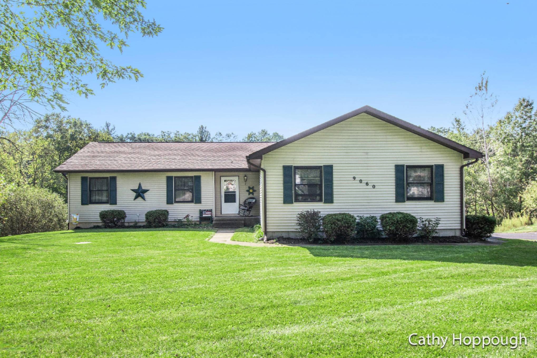 9060 River Road, Greenville, MI 48838
