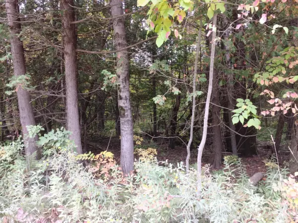 00 Lakola Road #Lot 2, Reed City, MI 49677