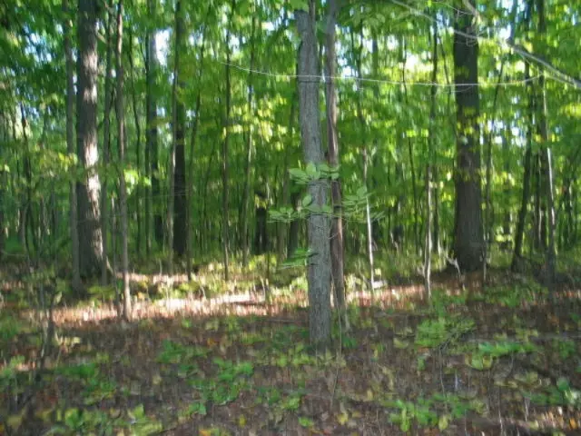 11461 Mercer Road, Jerome, MI 49249