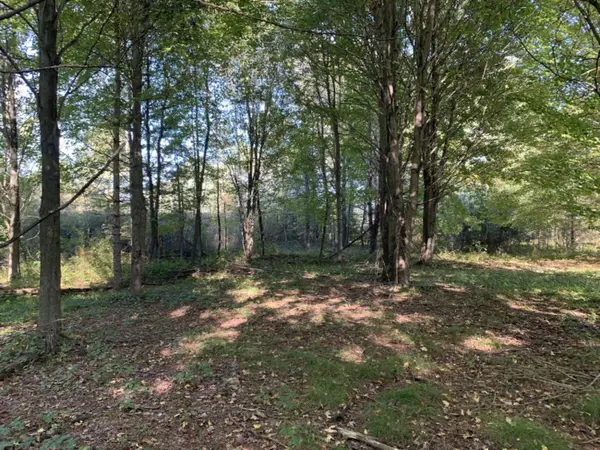 Ravenna, MI 49451,0 Cline Road