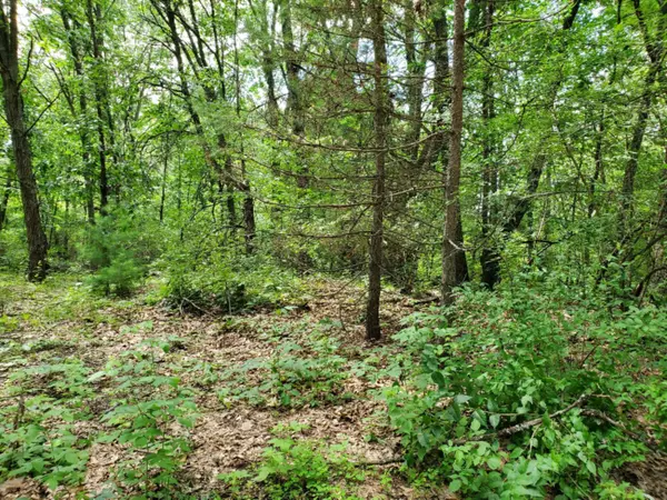 Newaygo, MI 49337,8040 Island View Drive