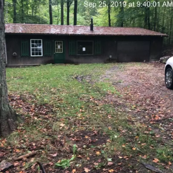 4238 N Raymond Road, Luther, MI 49656