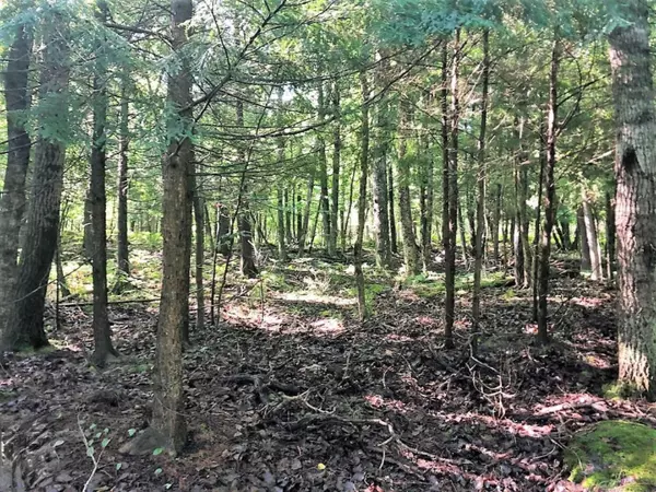 Thompsonville, MI 49683,Lot 54 Roaring Brook Drive