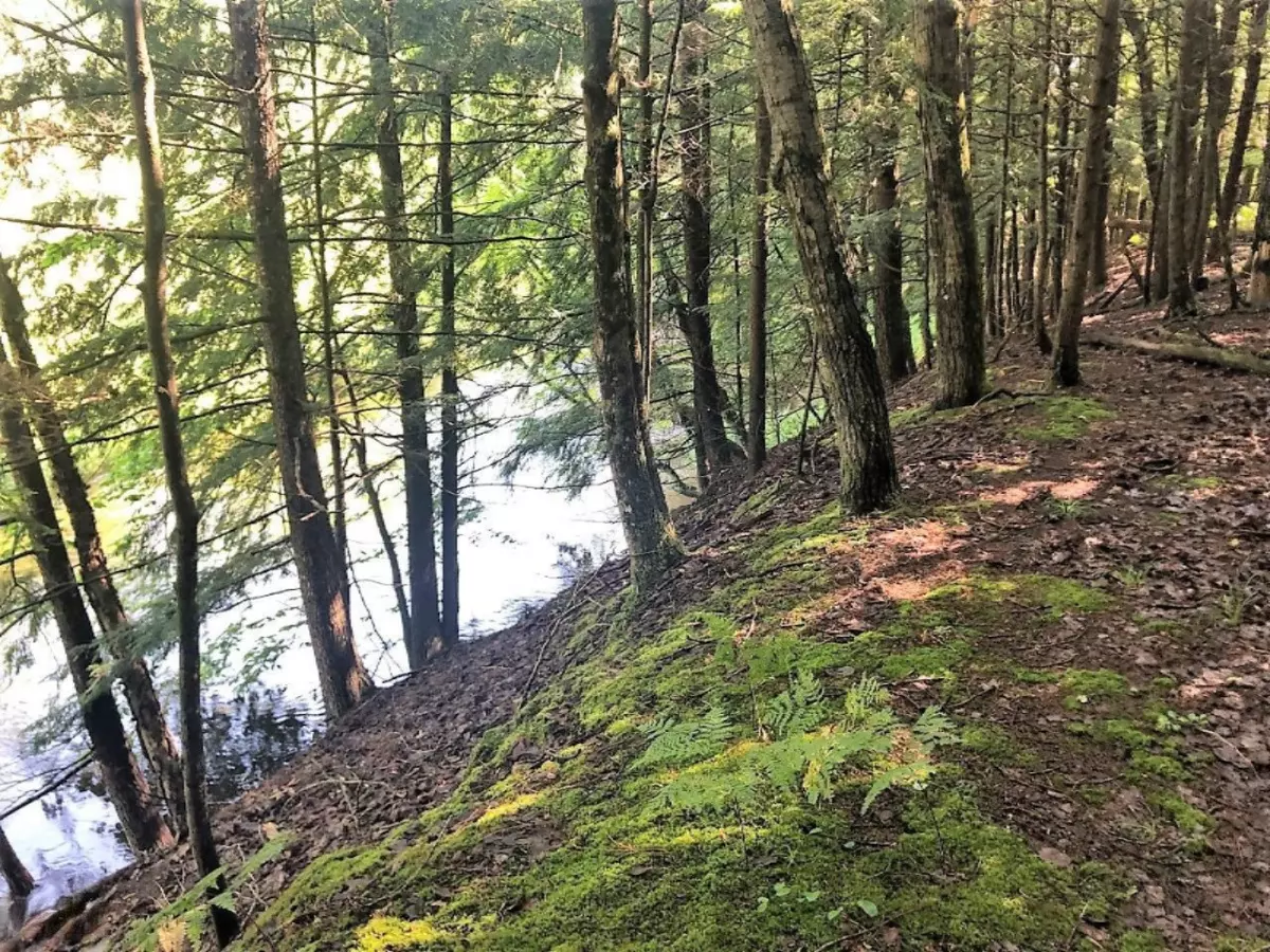 Thompsonville, MI 49683,Lot 54 Roaring Brook Drive