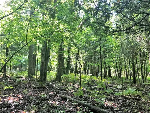 Thompsonville, MI 49683,Lot 54 Roaring Brook Drive