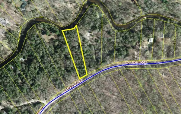 Thompsonville, MI 49683,Lot 54 Roaring Brook Drive