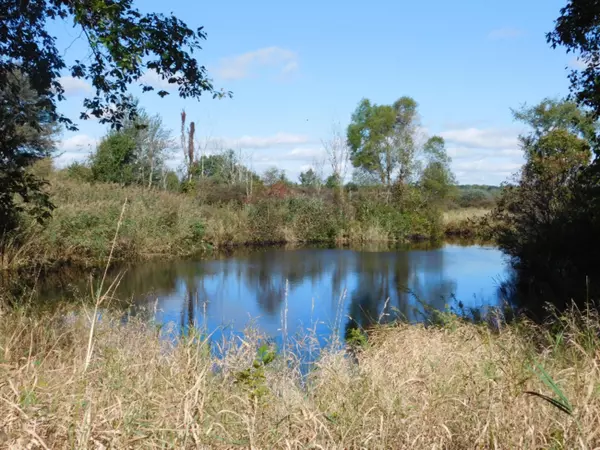 2375 22 Mile Road, Homer, MI 49245