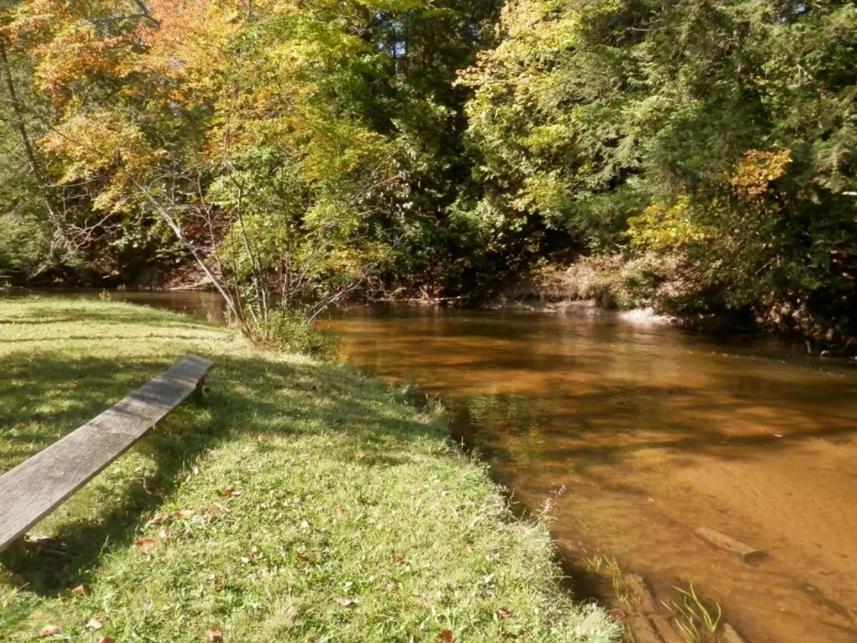 Thompsonville, MI 49683,14876 Old Grade Road