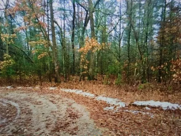 9498 E Whispering Oaks Lane, Newaygo, MI 49337
