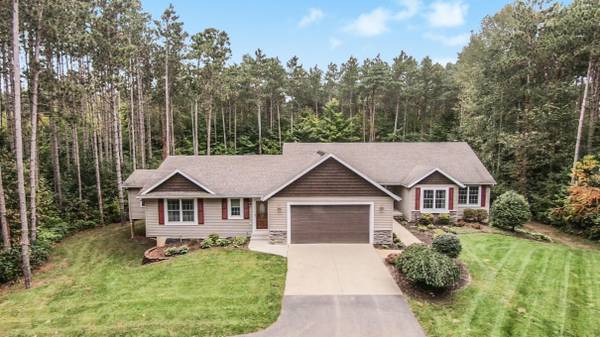 2135 Sunny Pine Drive, Dorr, MI 49323