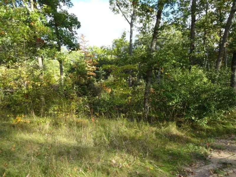 850 E Washington, White Cloud, MI 49349