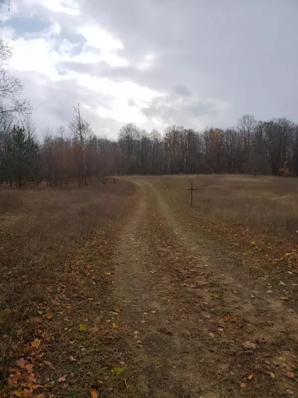 Mesick, MI 49668,Forest View Trail