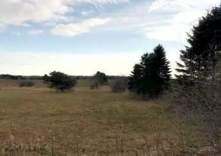 V/L E Freeman Road, Free Soil, MI 49411