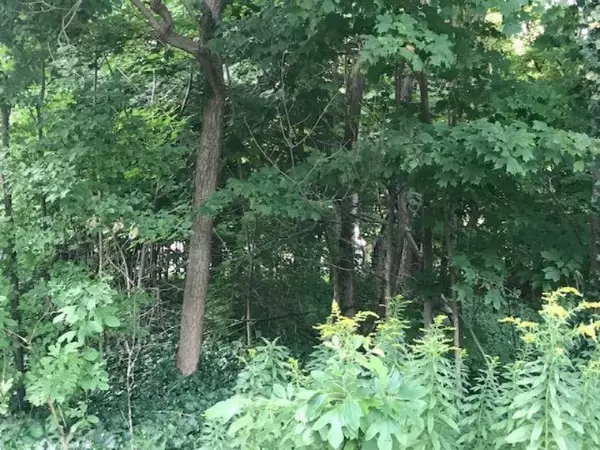 Holland, MI 49424,3710 Lakeshore Avenue