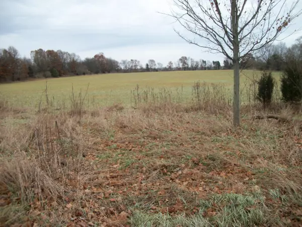 Paw Paw, MI 49079,Vacant CR 653