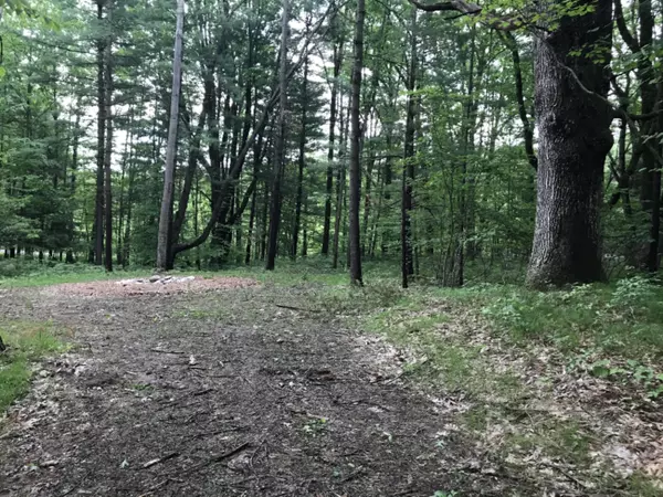 0 Hickory Drive #Lot 600, 601, 602, Lakeview, MI 48850