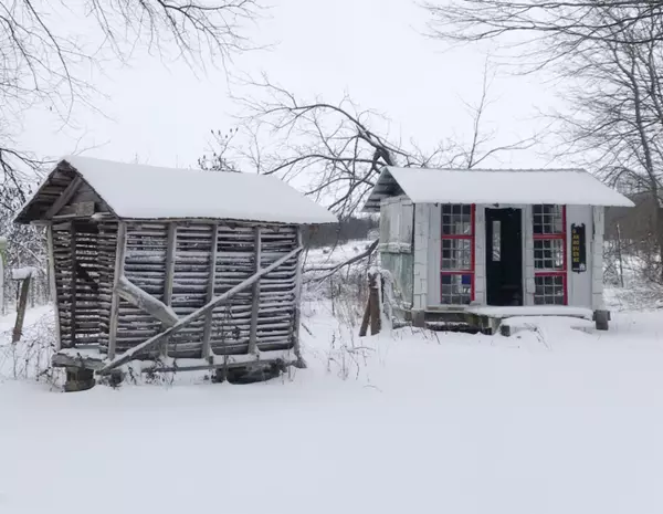 Hart, MI 49420,6156 N 72nd Avenue