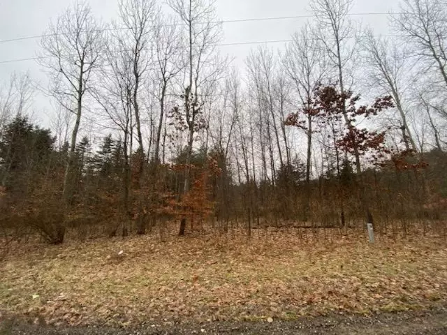13249 Long Lake Drive #Parcel B, Sparta, MI 49345