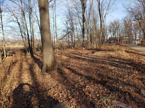 Shelbyville, MI 49344,VL W Selkirk Lake Drive #Lot 004-10