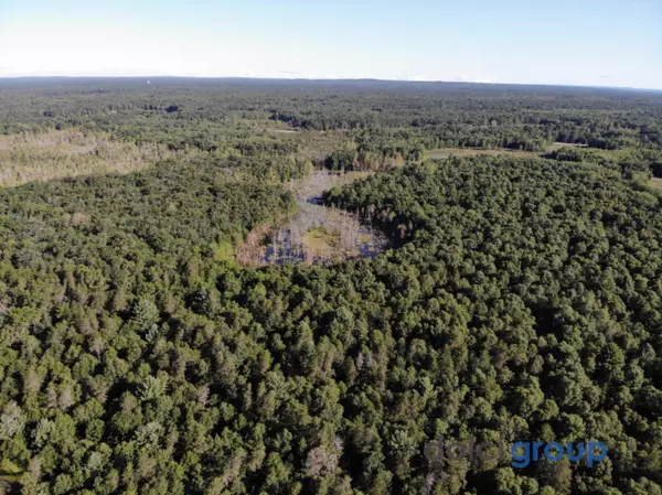 Baldwin, MI 49304,193 Acre Forest