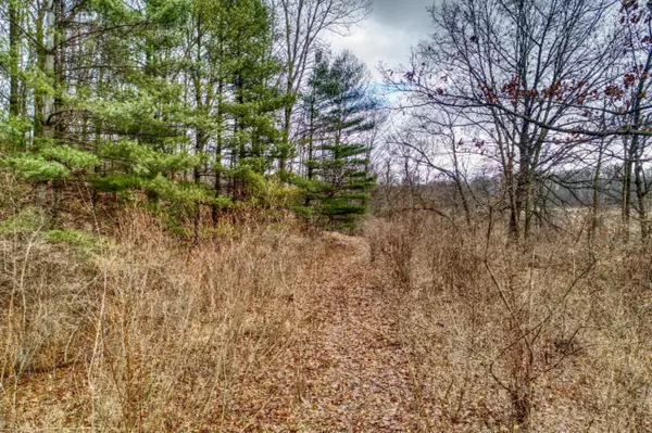 Vandalia, MI 49095,V/L Paradise Lake Road