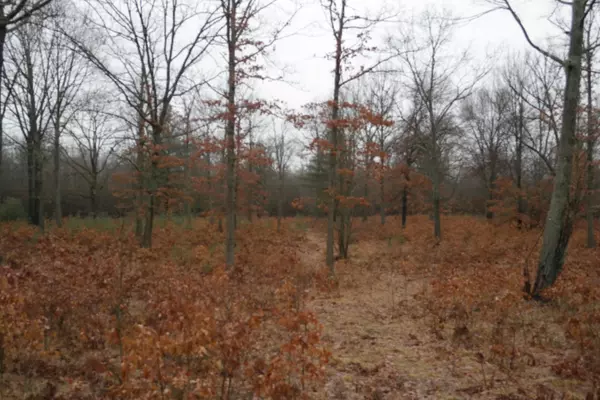 White Cloud, MI 49349,4645 E Waldo Lane