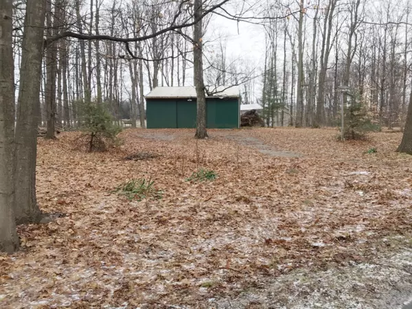 Hart, MI 49420,N 72nd Avenue