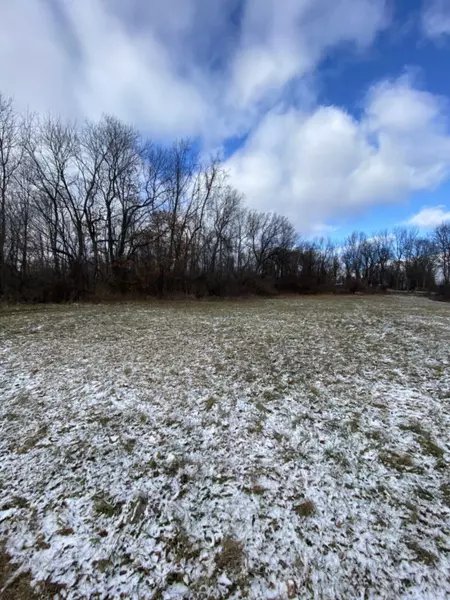 1239 S Dalrymple Street, Albion, MI 49224