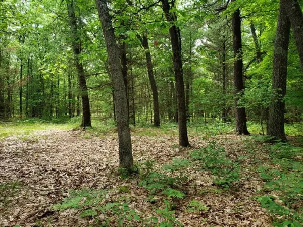 Newcosta Avenue, Newaygo, MI 49337