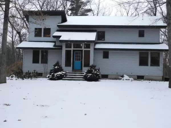 22907 Tamarack View View, Howard City, MI 49329