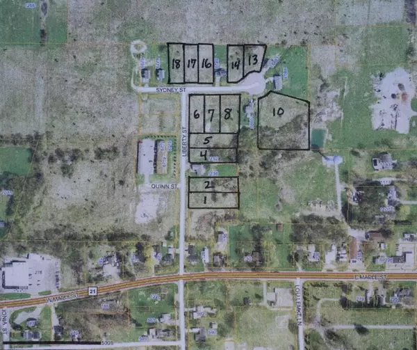 Muir, MI 48860,Lot 1 Liberty