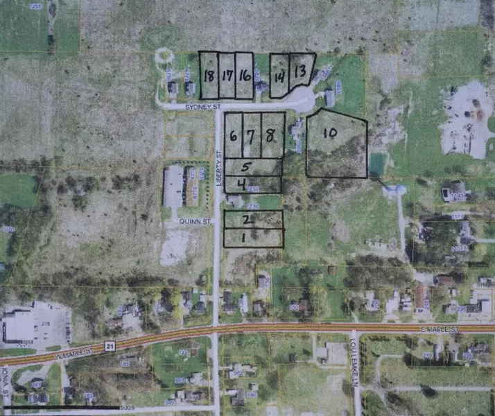 Lot 5 Liberty, Muir, MI 48860