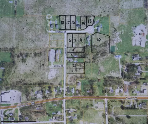 Muir, MI 48860,Lot 6 Liberty