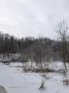 V/L Lewis Lake Rd., Vandalia, MI 49095