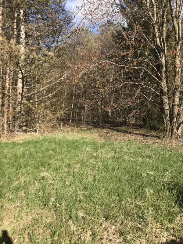 West Olive, MI 49460,8530 146th Ave Avenue