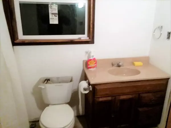 Baldwin, MI 49304,10217 S Yates Trail Road