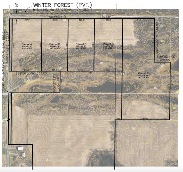 C Winter Forest, Rockford, MI 49341