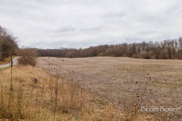 Rockford, MI 49341,C Winter Forest