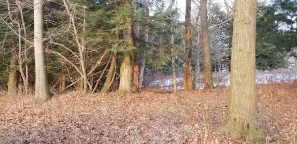 Shelby, MI 49455,Sable Point Drive