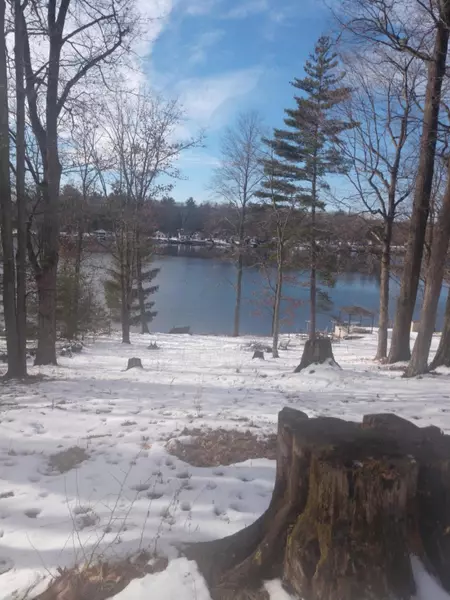 10755 Otahnagon Drive, Stanwood, MI 49346